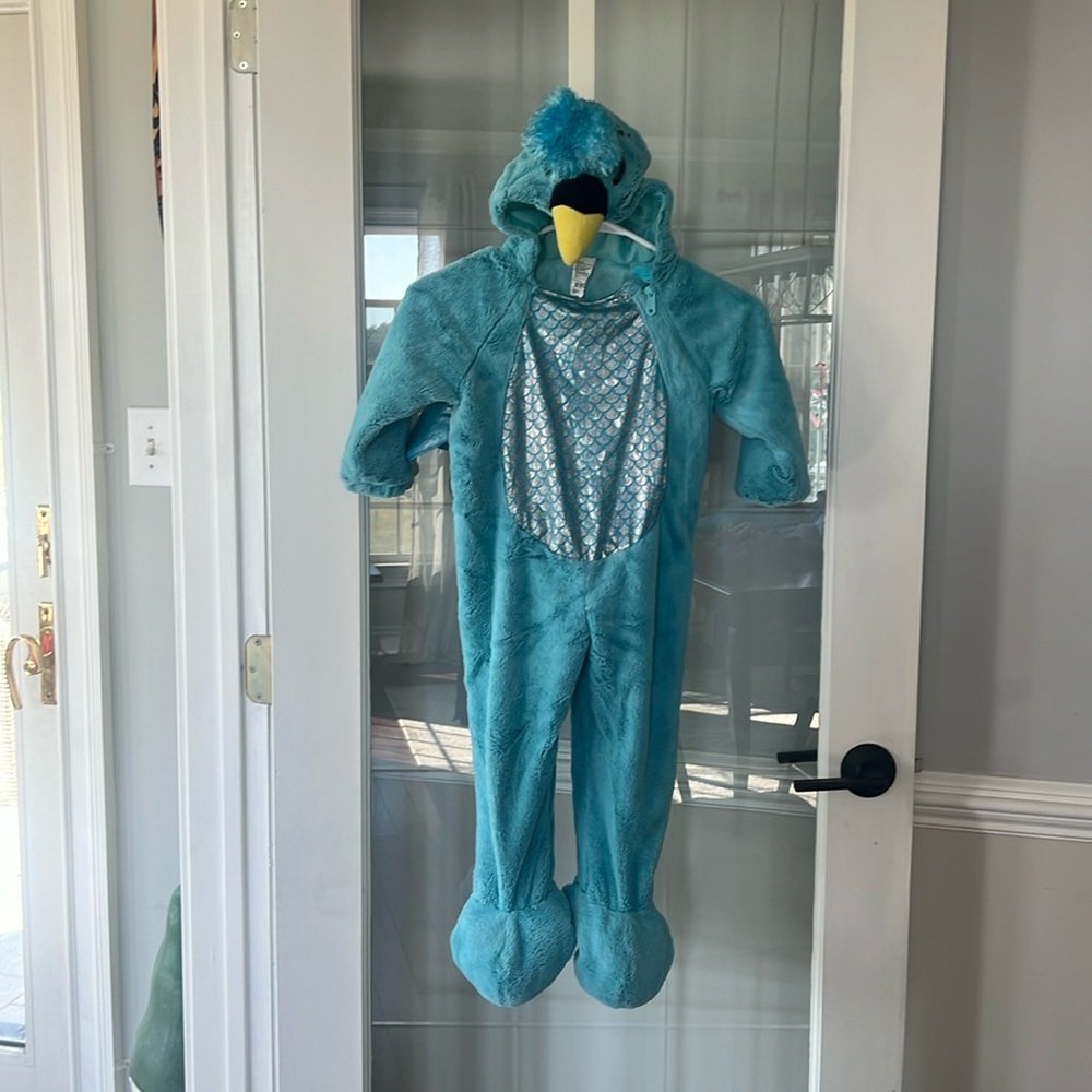 Bird costume